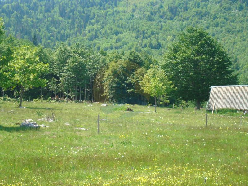 Beautiful plot in a quiet village Rudinice, close to the city of Pluzine 2