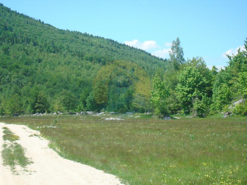 Beautiful plot in a quiet village Rudinice, close to the city of Pluzine 3