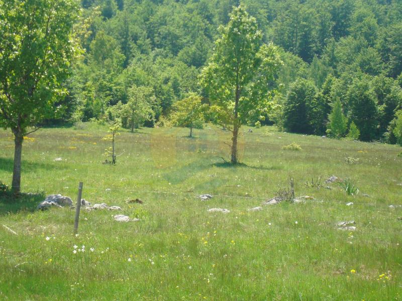 Beautiful plot in a quiet village Rudinice, close to the city of Pluzine 4