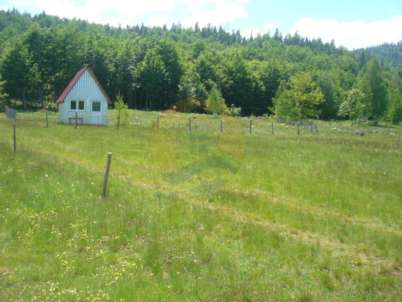 Beautiful plot in a quiet village Rudinice, close to the city of Pluzine 5