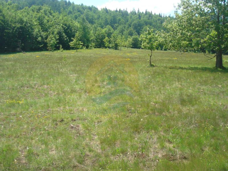 Beautiful plot in a quiet village Rudinice, close to the city of Pluzine 6