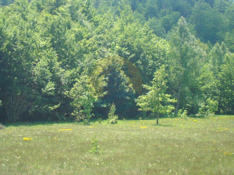 Beautiful plot in a quiet village Rudinice, close to the city of Pluzine 7