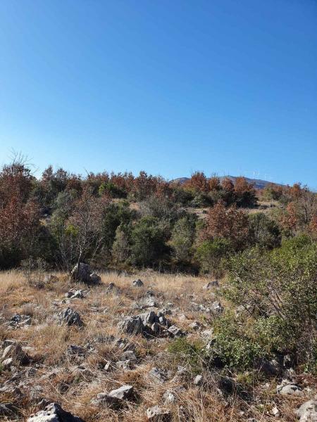Plot in Ulcinj is for sale 2