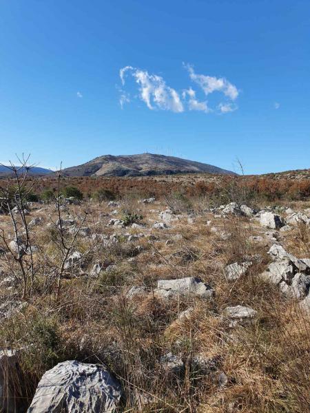 Plot in Ulcinj is for sale 3