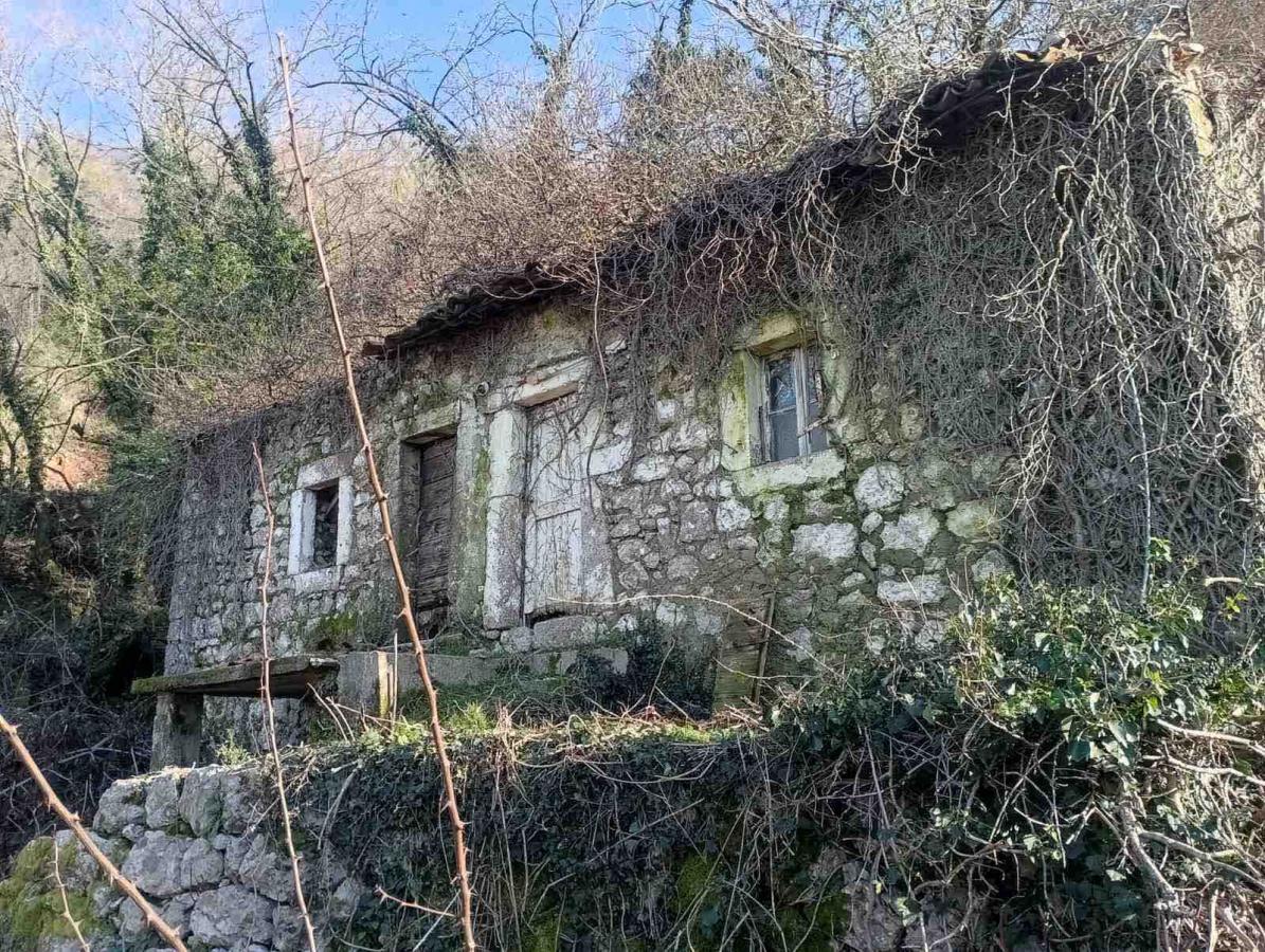 Urbanized plot with a view of Lake Skadar is for sale 2