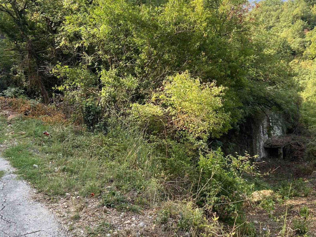 Urbanized plot with a view of Lake Skadar is for sale 6