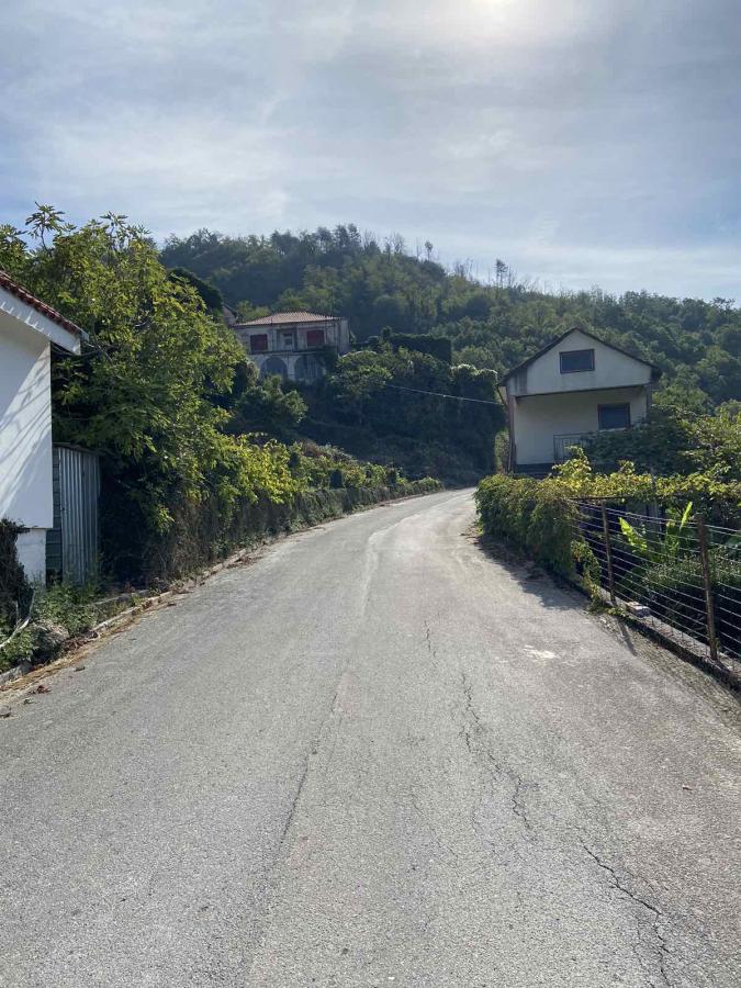 Urbanized plot with a view of Lake Skadar is for sale 7