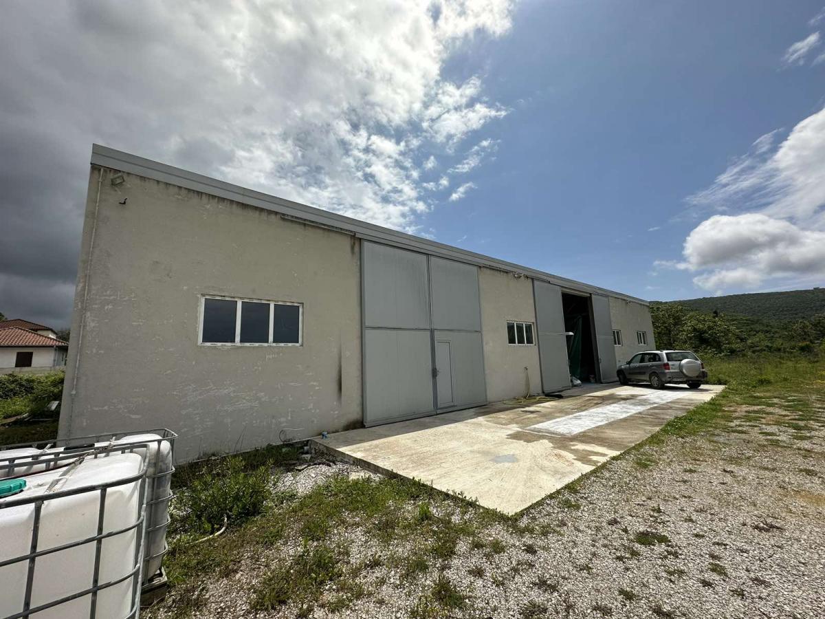 Business hall in Radanovici is for rent 3