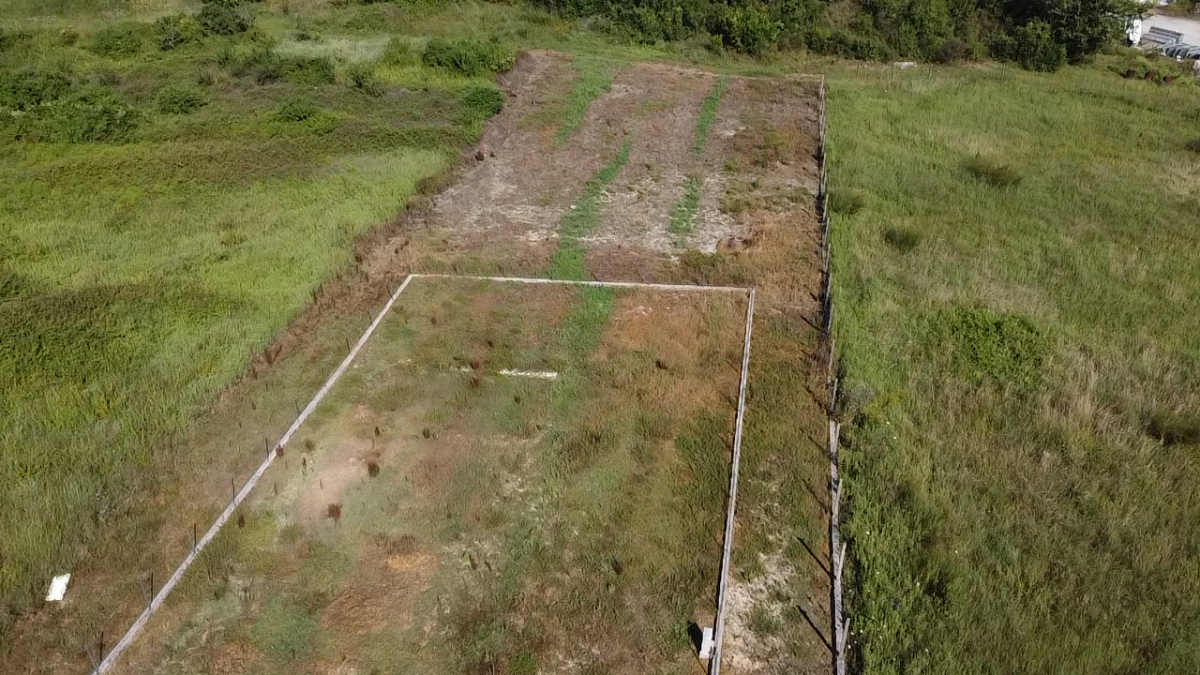 Nekretnina u Kotoru, 736m² 3