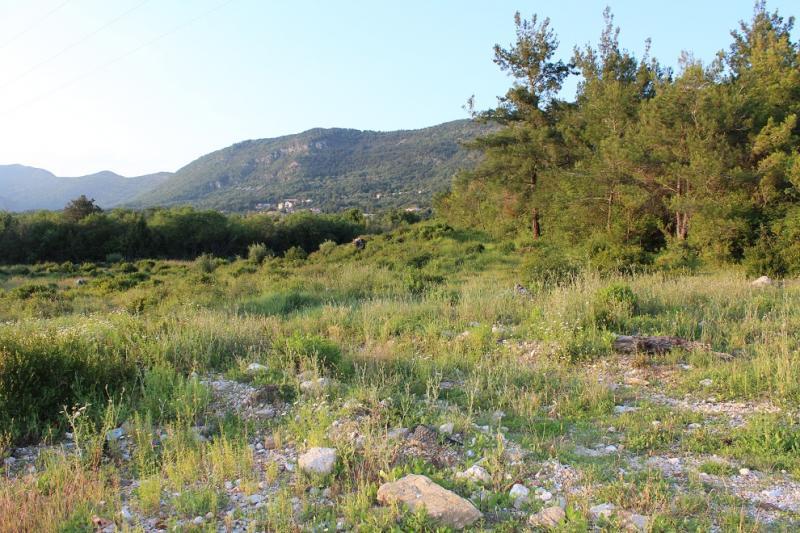 Urbanized plot for sale in Mirkovina, Kotor 2