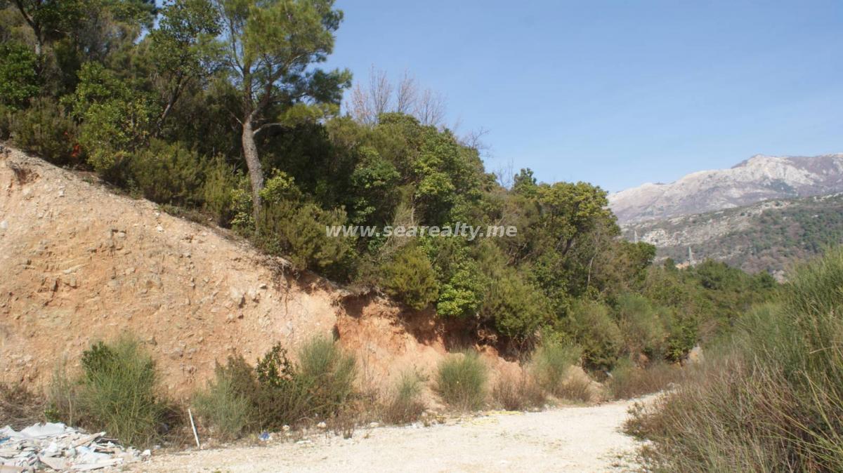 Land for sale 8900m2, Budva 2
