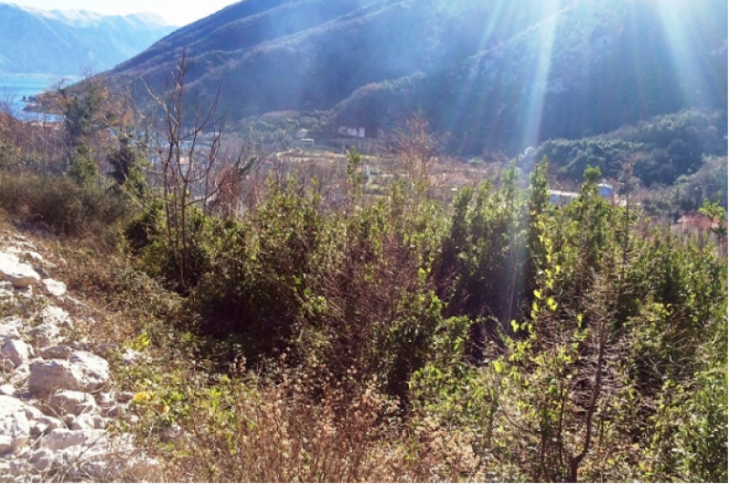 Urbanized plot for sale in Morinj, Kotor 2