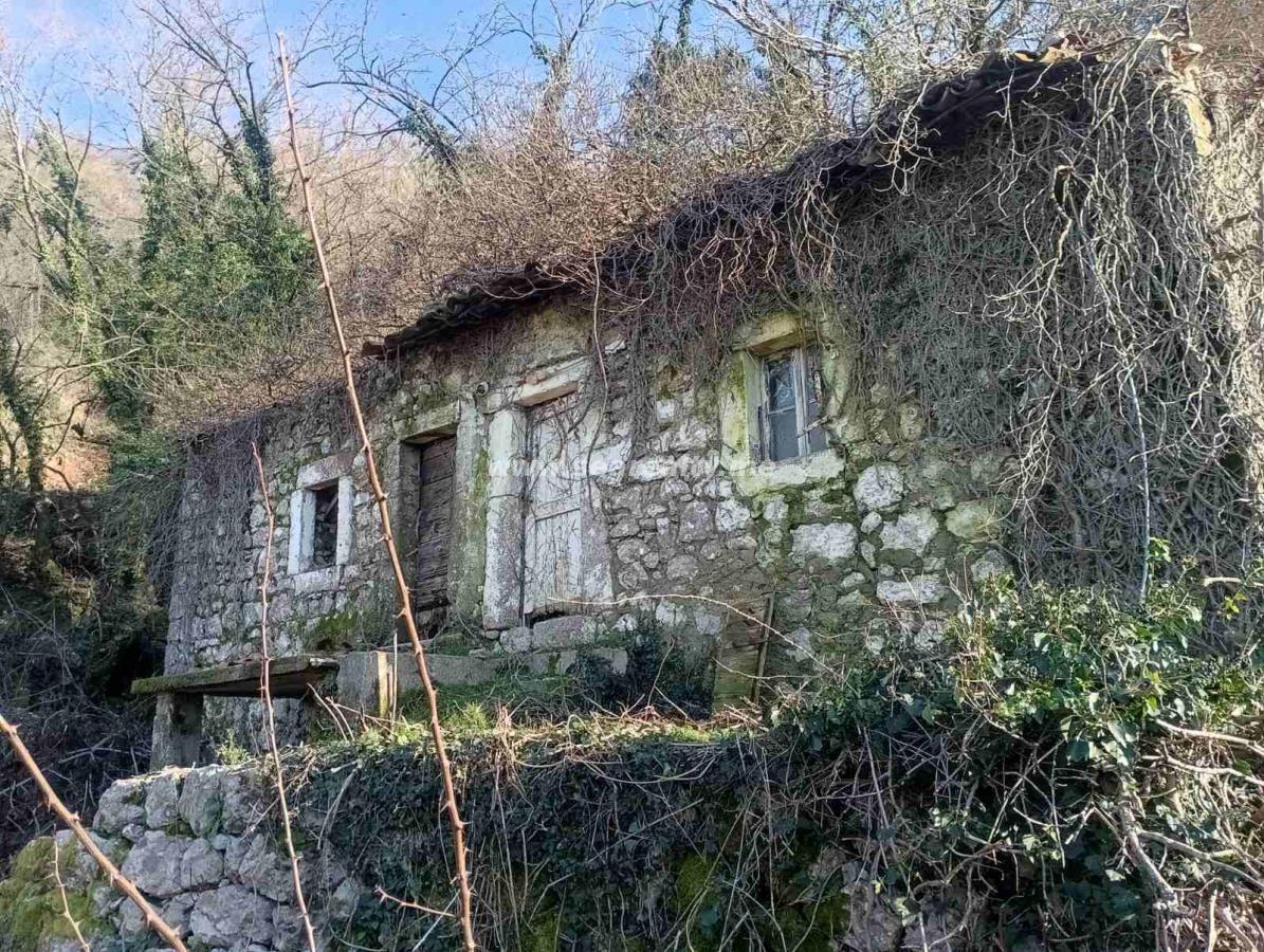 Estate for Sale 3