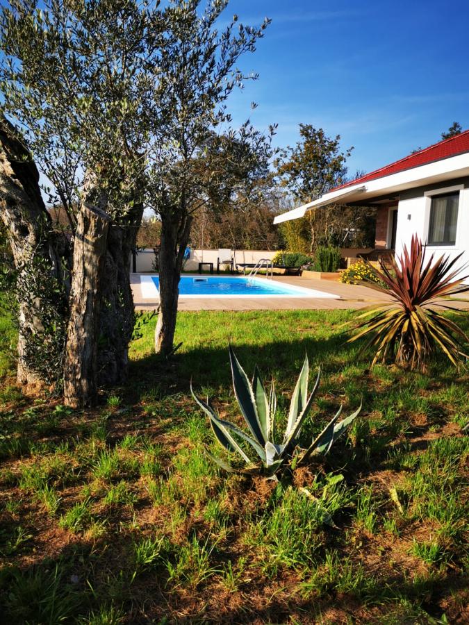 For Sale – Modern “Turnkey” Homes with 500 m² Private Yard 5