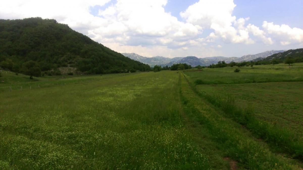 Plac u Nikšiću, 0m² 5