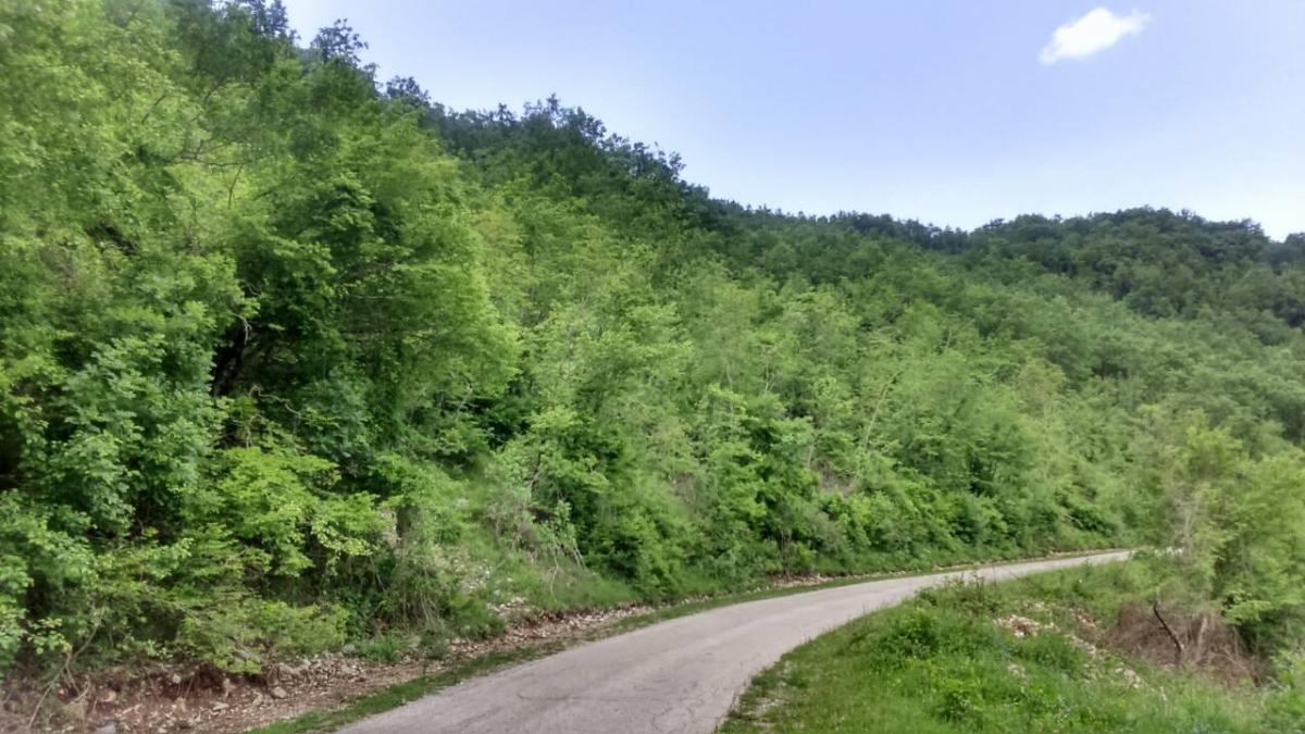 Plac u Nikšiću, 0m² 6