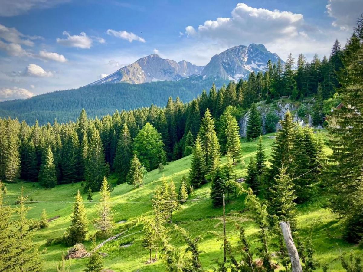 Kuća u Žabljak, 375m² 3