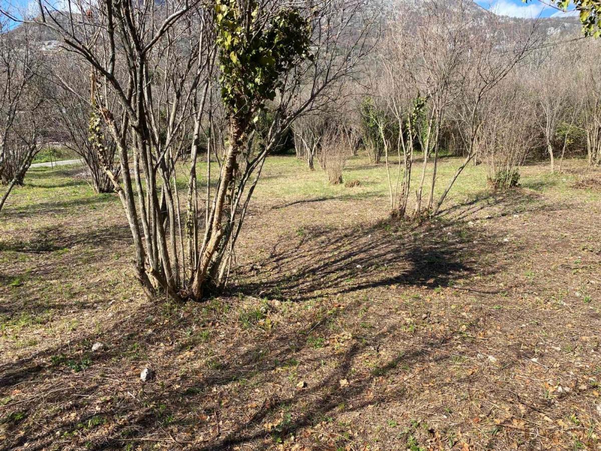 Plac u Baru, 0m² 2