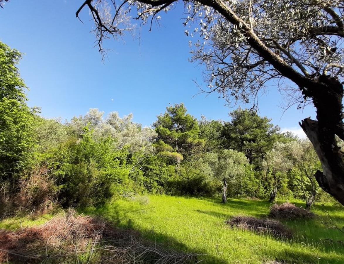 Nekretnina u Tivtu, 0m²
