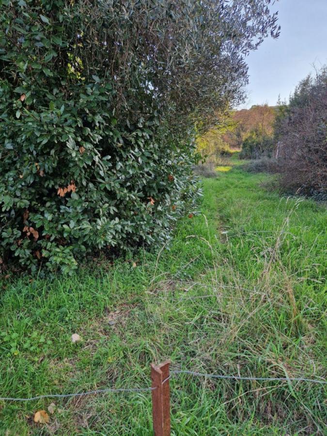 Nekretnina u Tivtu, 630m²