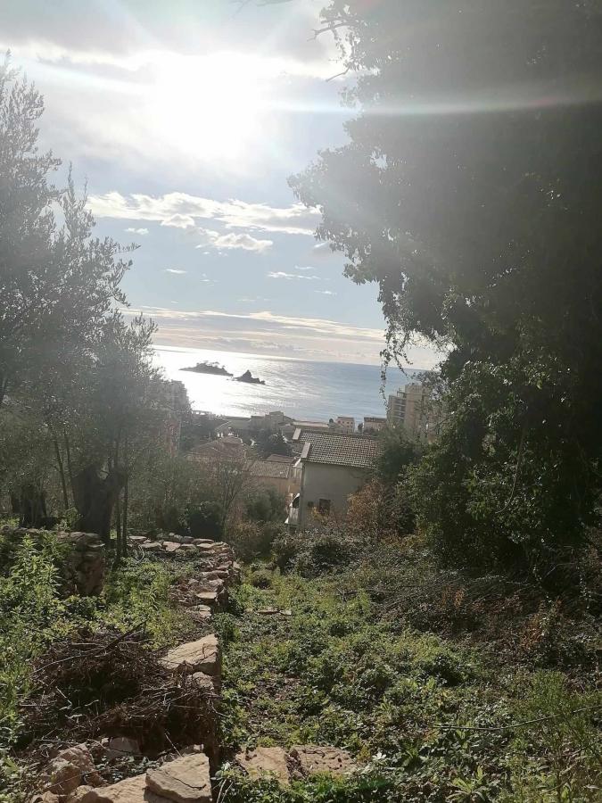 Plot for sale, Petrovac, Budva 2