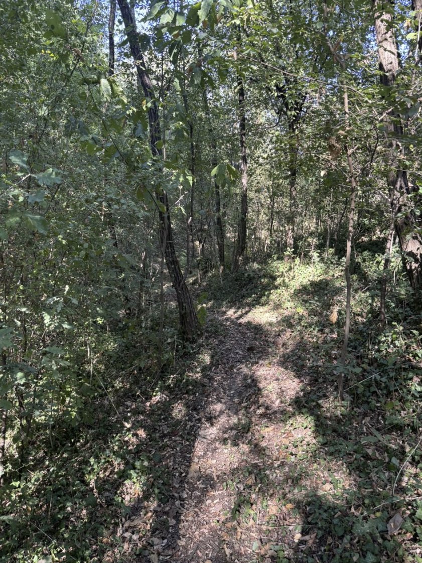 Kuća sa 10.000 m2 zemljišta, voćnjakom i šumom – Danilovgrad — 10