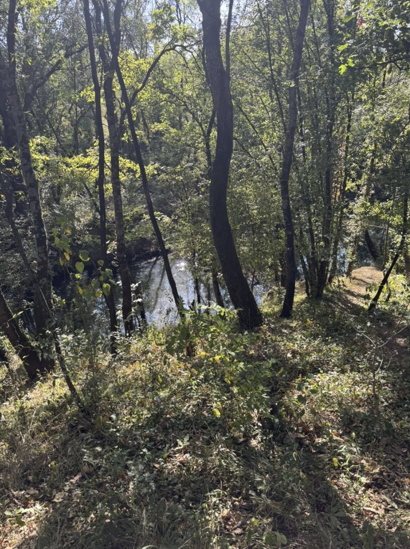 Kuća sa 10.000 m2 zemljišta, voćnjakom i šumom – Danilovgrad — 11