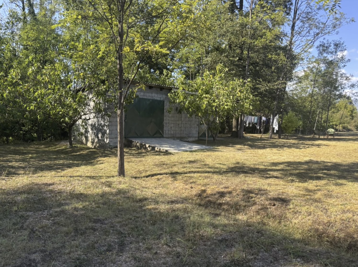 Kuća sa 10.000 m2 zemljišta, voćnjakom i šumom – Danilovgrad — 6