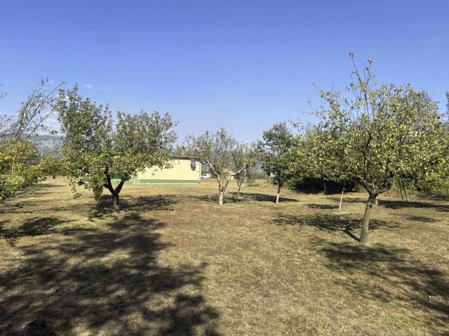 Kuća sa 10.000 m2 zemljišta, voćnjakom i šumom – Danilovgrad — 5
