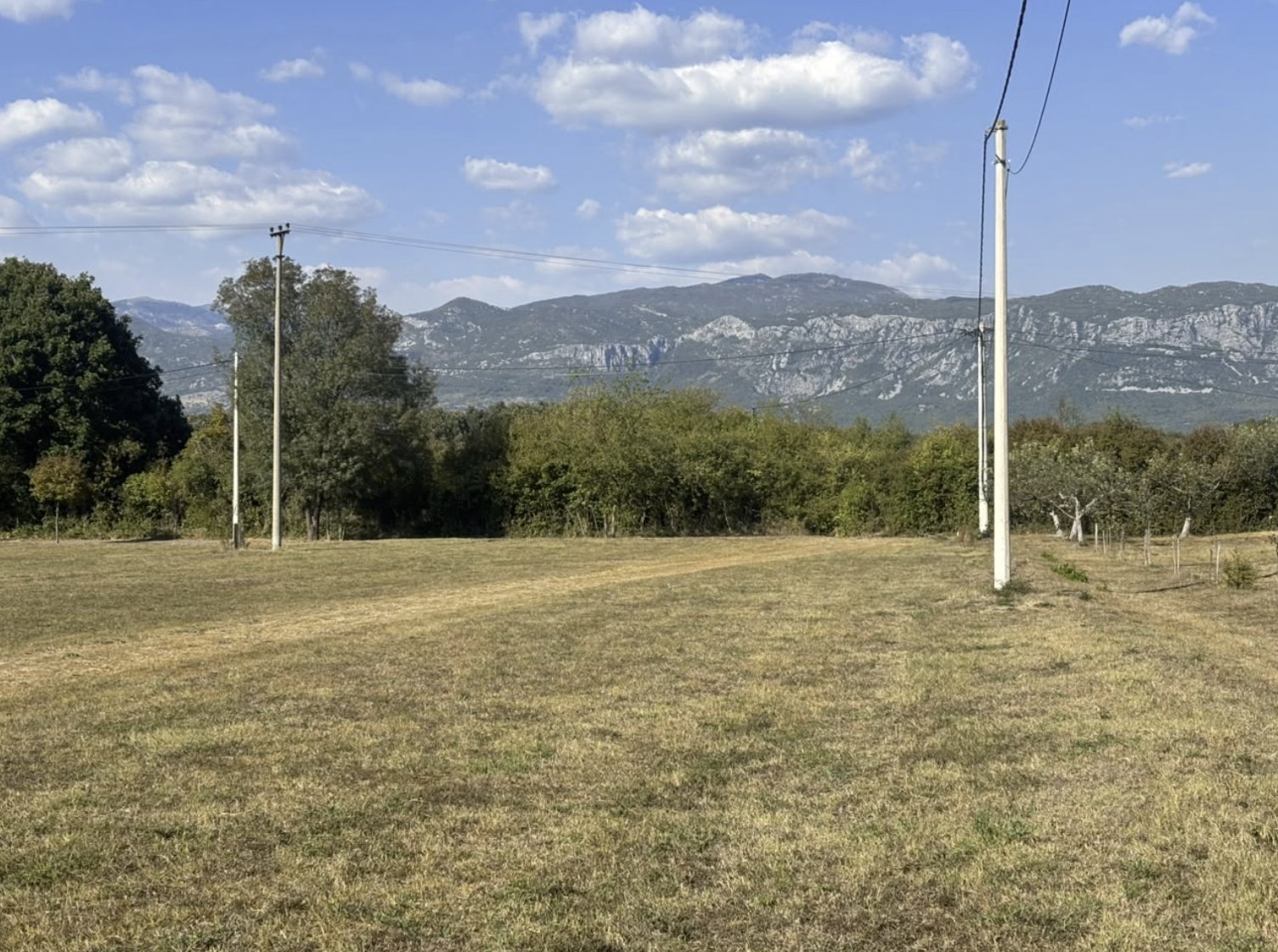 Kuća sa 10.000 m2 zemljišta, voćnjakom i šumom – Danilovgrad — 9