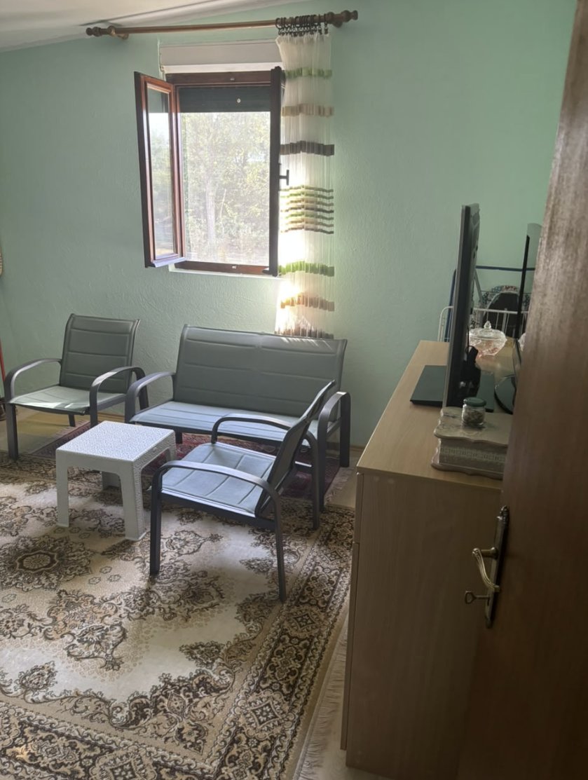 Kuća sa 10.000 m2 zemljišta, voćnjakom i šumom – Danilovgrad — 15