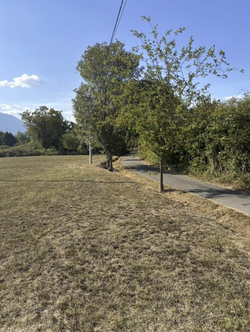 Kuća sa 10.000 m2 zemljišta, voćnjakom i šumom – Danilovgrad — 20