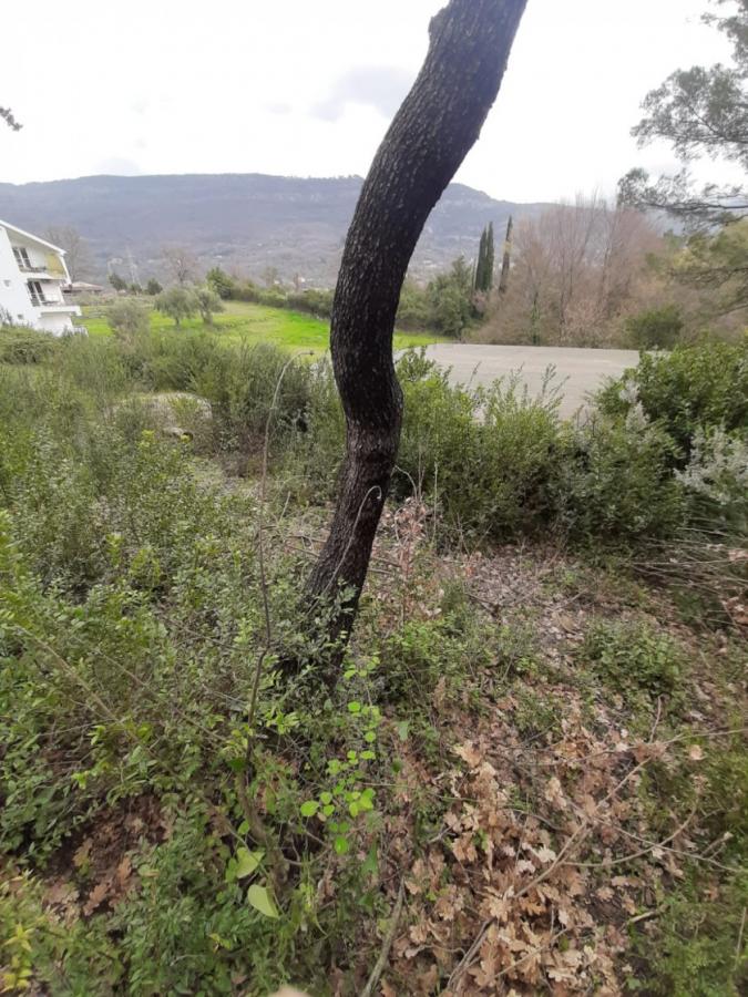 Nekretnina u Tivtu, 490m² 3