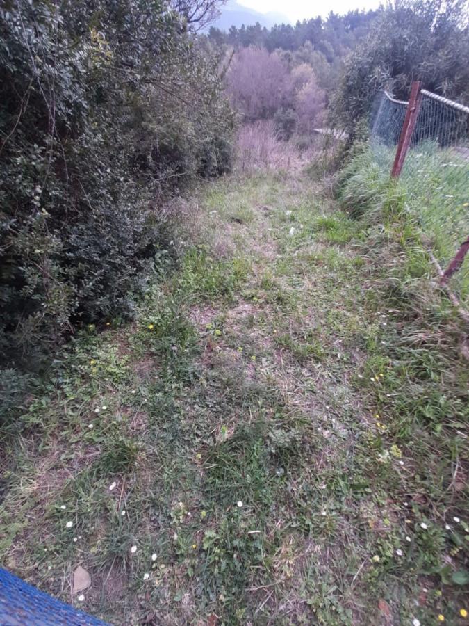 Nekretnina u Tivtu, 490m² 4