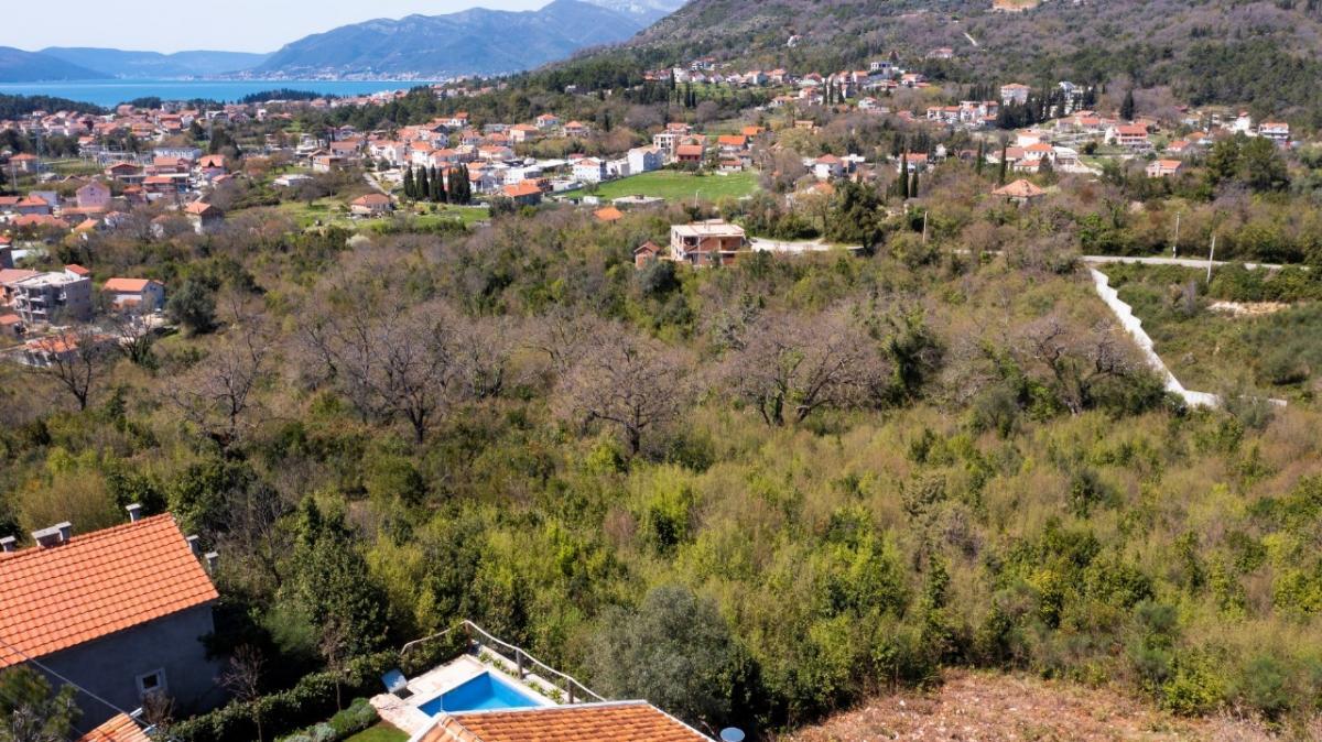 Nekretnina u Kotoru, 5007m² 4
