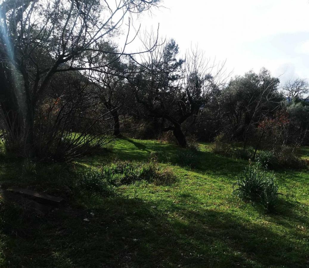 Urbanized plot for sale 2