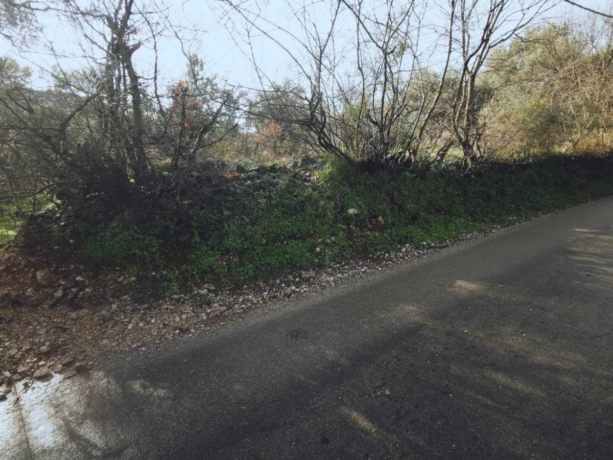 Urbanized plot for sale 3