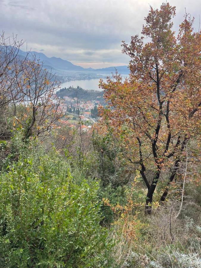 Urbanized plot of land is for sale in Kamenari 6