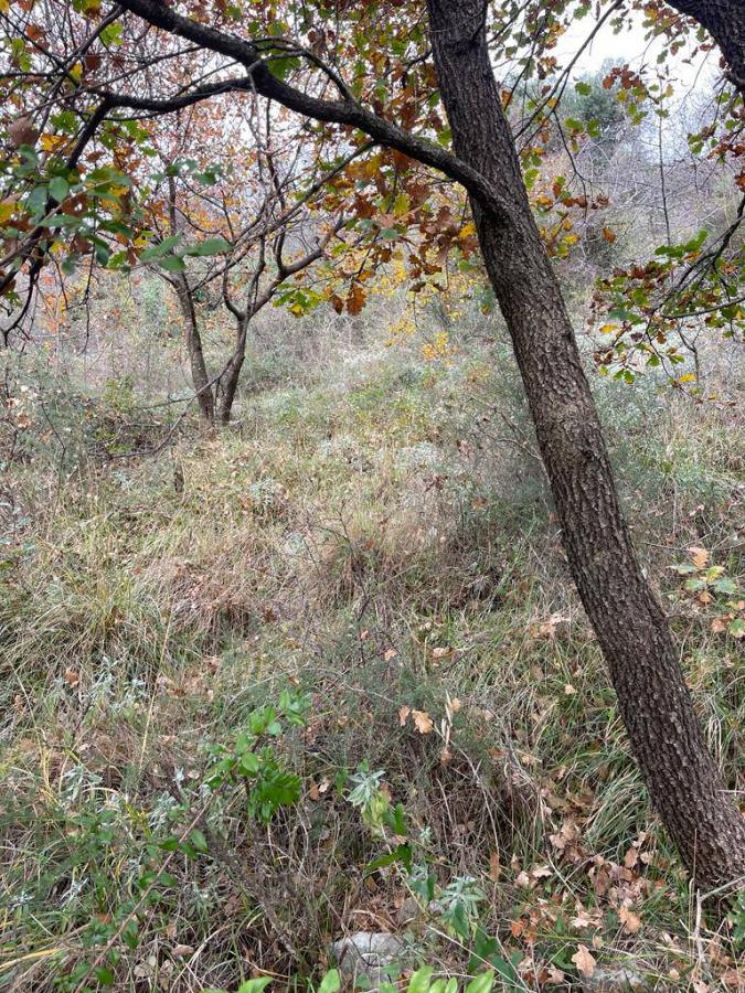 Urbanized plot of land is for sale in Kamenari 7