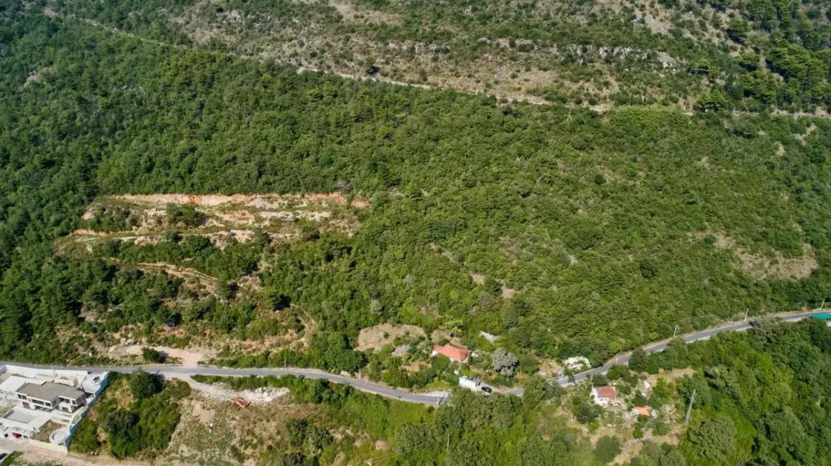 Nekretnina u Kotoru, 10656m² 13