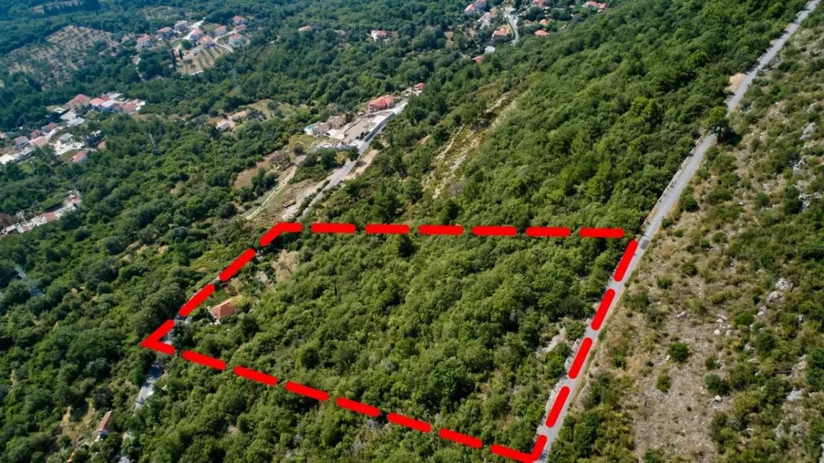 Nekretnina u Kotoru, 10656m² 3