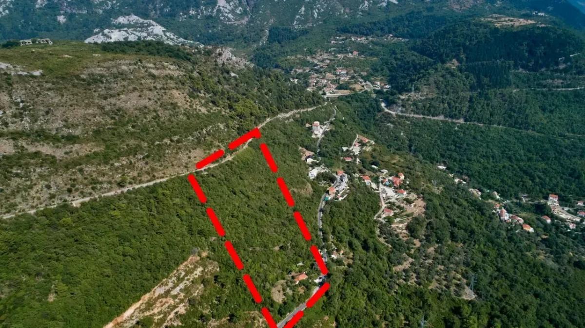 Nekretnina u Kotoru, 10656m² 5