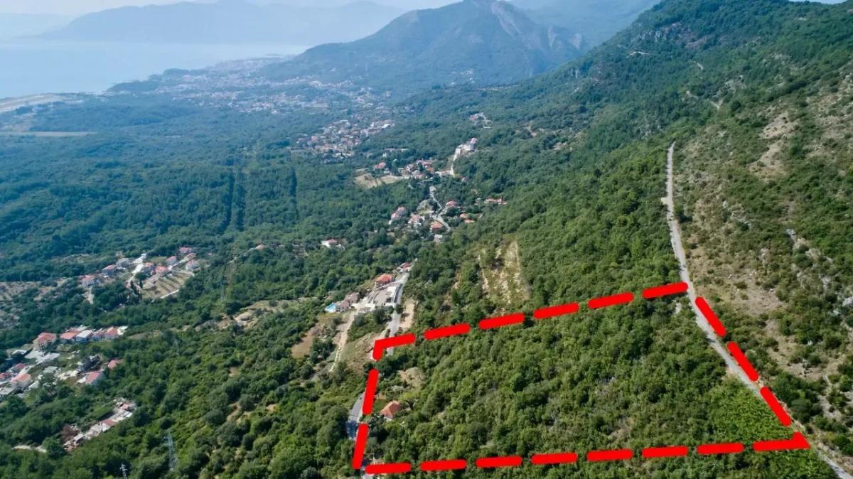 Nekretnina u Kotoru, 10656m² 9