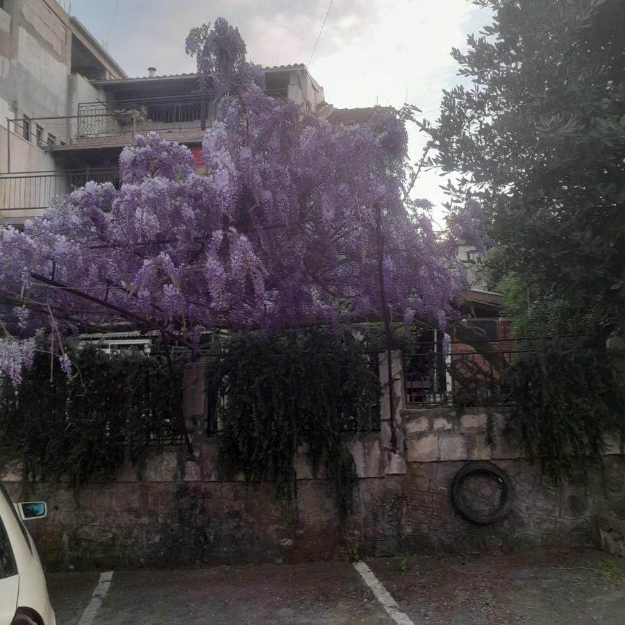 Kuća u Tivtu, 398m² 2