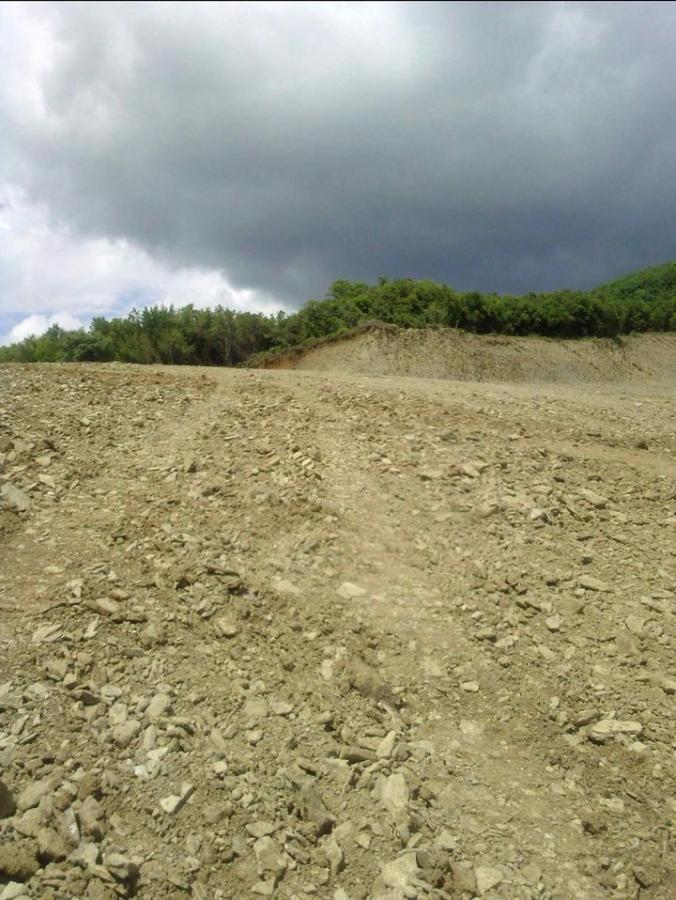 Spacious land for sale 2