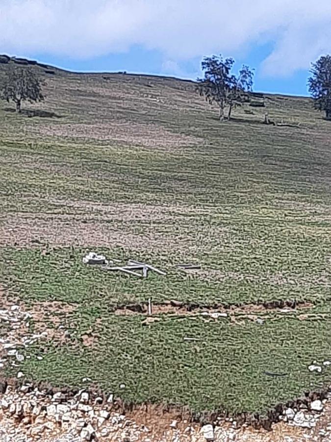 Plac u Mojkovac, 0m² 2