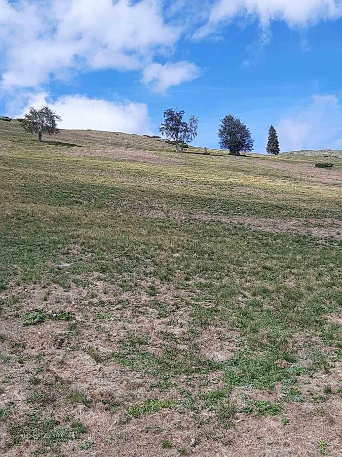 Plac u Mojkovac, 0m² 4