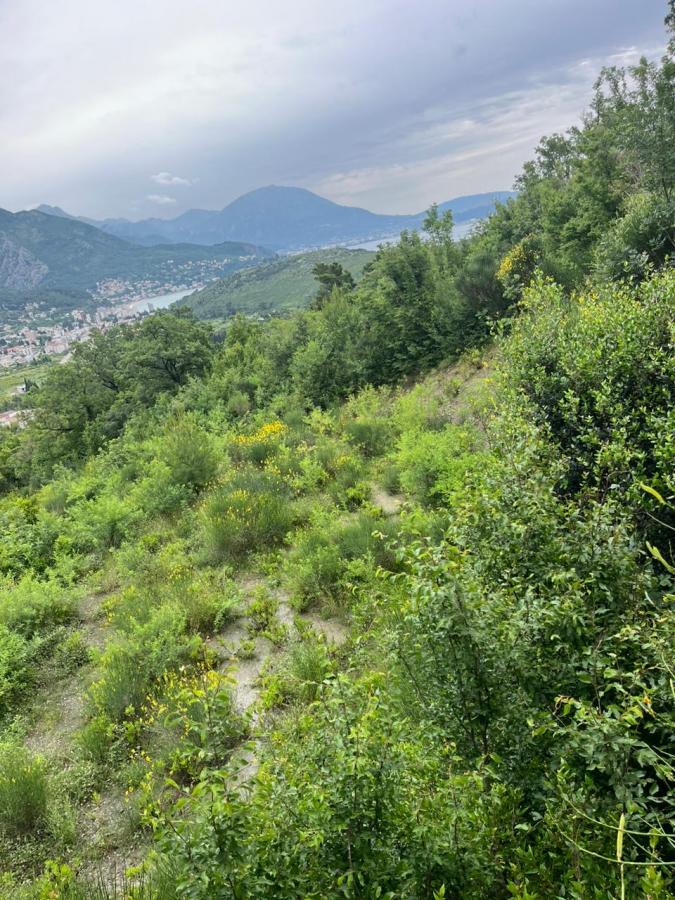Land for sale, 1690 m2, Bar, Sutomore 3