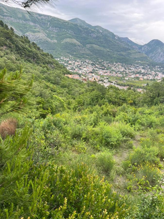Land for sale, 1690 m2, Bar, Sutomore 6