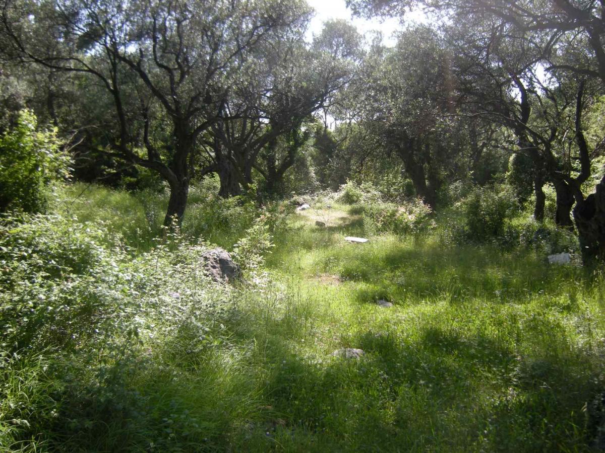 Urbanized land for sale, 560 m2, Budva 2